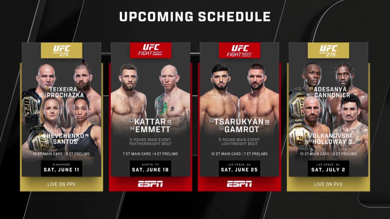 Jadwal pertandingan ufc lengkap bulan ini dan lokasi