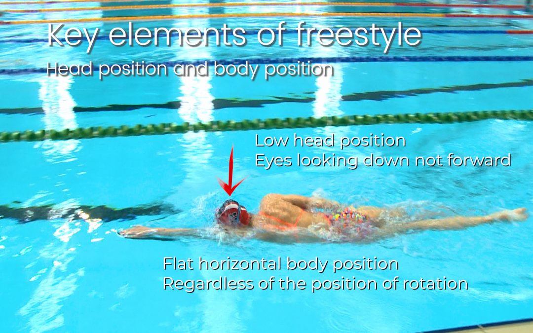 Swimming stroke strokes side swim tips 2011 saved dec comments