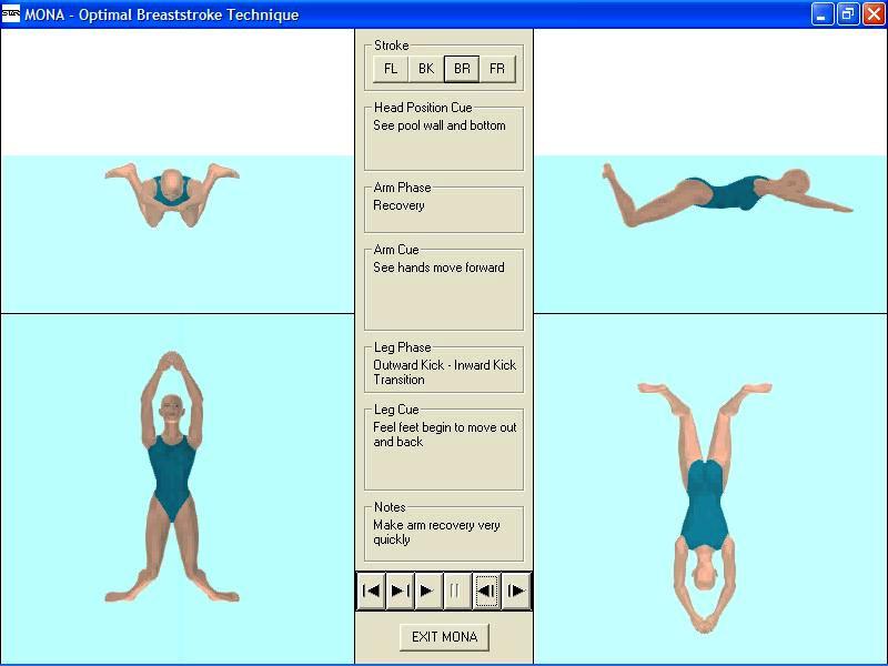 Breaststroke stroke strokes breathing