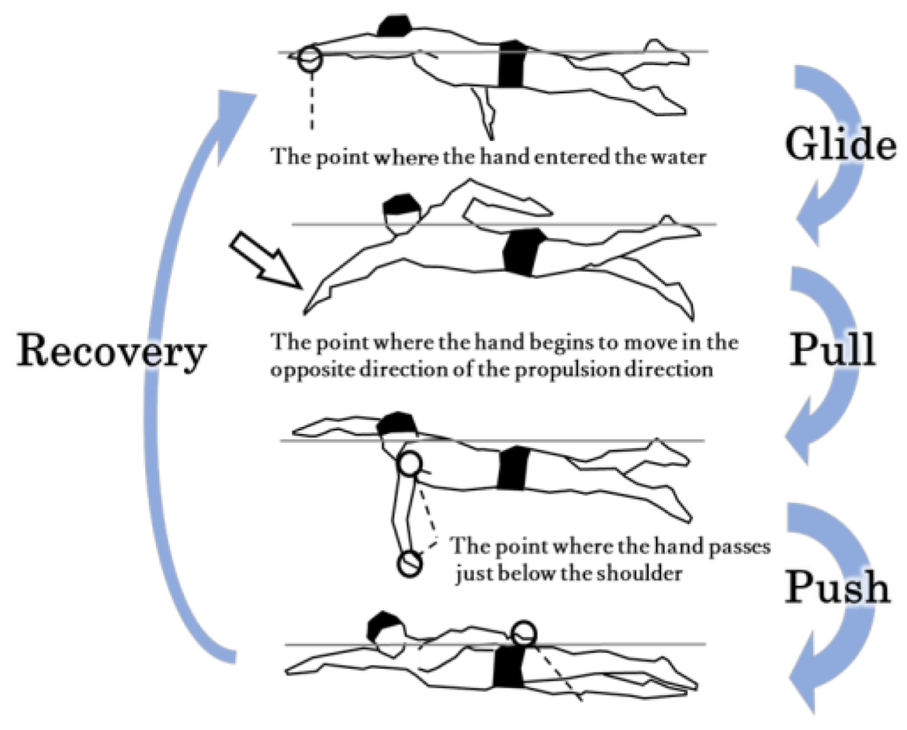 Freestyle swim technique perfect