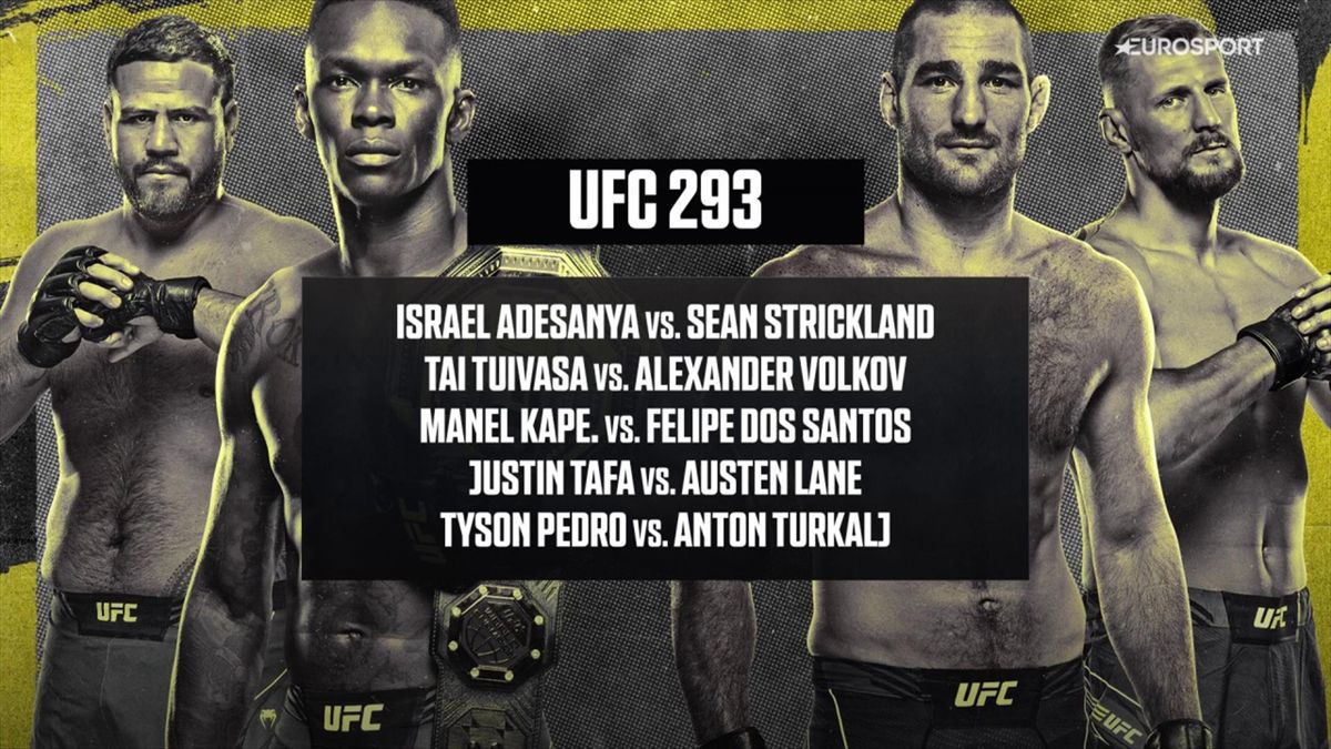 Studi kasus strategi bertahan efektif dalam UFC 293